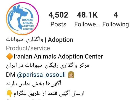 تنها پیج و کانال معتبر و اصلی واگذاری رایگان حیوانات و واگذاری رایگان سگ و گربه در اینستاگرام و تلگرام