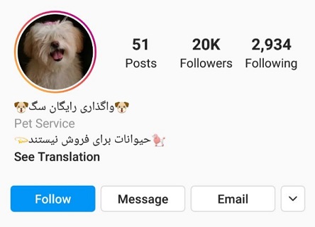 کلاهبرداری‌ با عنوان واگذاری رایگان سگ و گربه در اینستاگرام